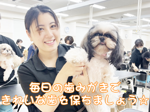 毎日の歯みがきで健康を守ります☆